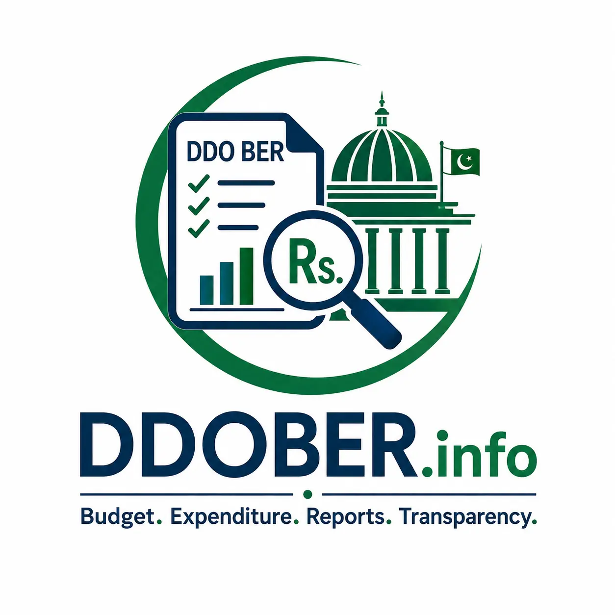 Your Gateway to DDO BER Reports