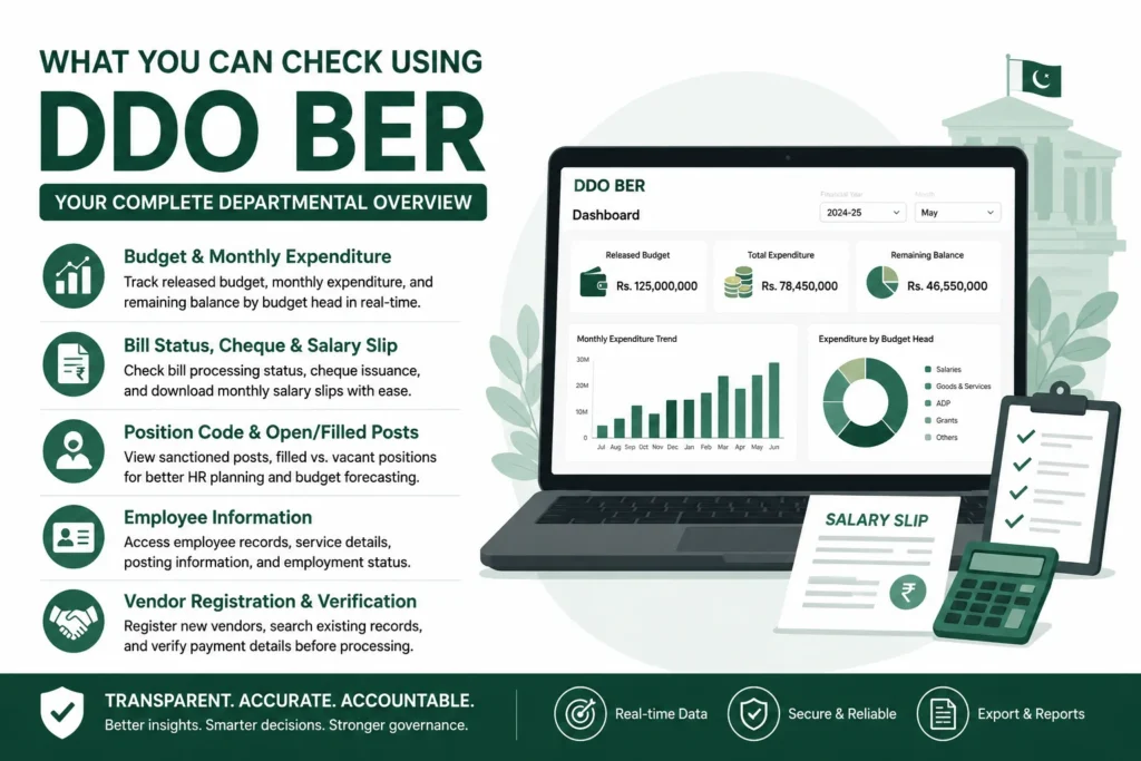 What You Can Check Using DDO BER
